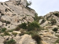 2014-05-10 11.13.56