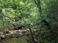 2014-05-10 12.35.45
