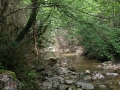 2014-05-10 12.35.50