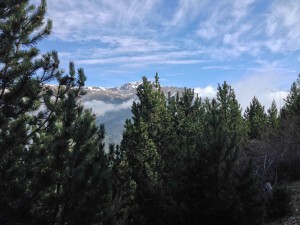 IMG_4213