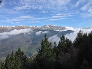 IMG_4214