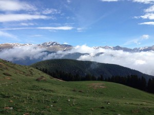 IMG_4216