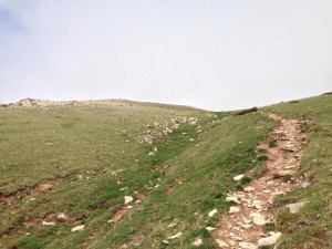 IMG_4220