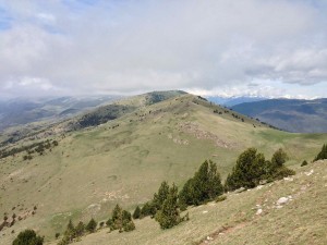 IMG_4225