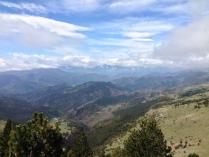 IMG_4227