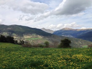 IMG_4238