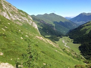 IMG_2351