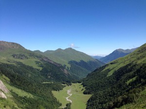 IMG_2352