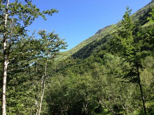 IMG_2354