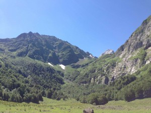 IMG_2357