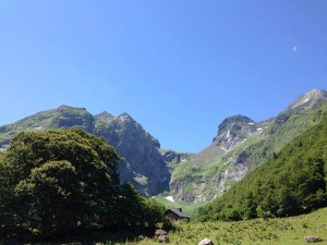 IMG_2361