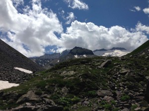 IMG_2365
