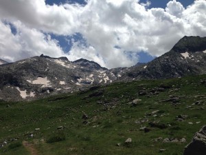 IMG_2368