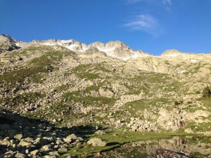IMG_2377