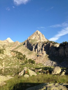 IMG_2378