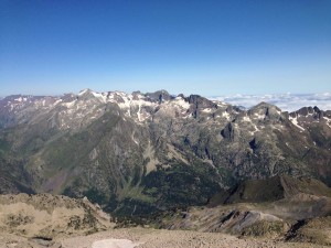 IMG_2389