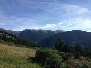 IMG_2526