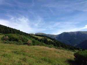 IMG_2527