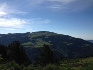 IMG_2528