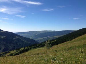 IMG_2531