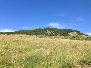 IMG_2532