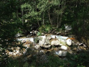 IMG_2535