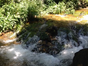 IMG_2536