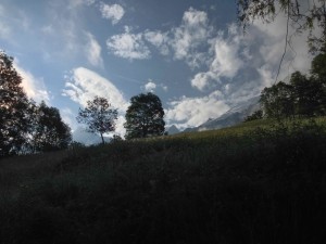 IMG_4396