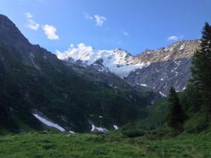 IMG_4406