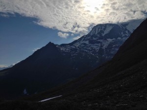 IMG_4409
