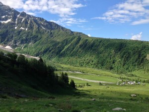 IMG_4414