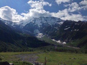 IMG_4416