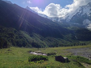IMG_4417