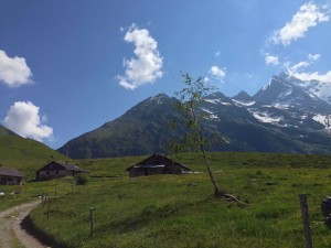 IMG_4421