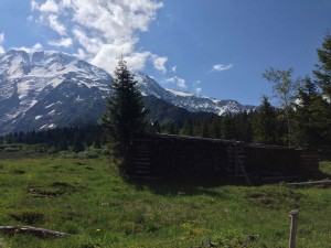 IMG_4422