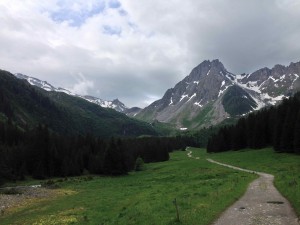 IMG_4433