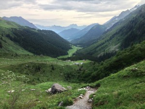 IMG_4434