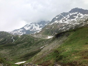 IMG_4435