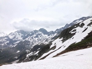 IMG_4437