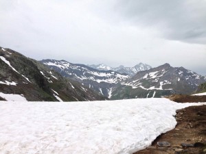 IMG_4438