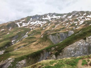 IMG_4444