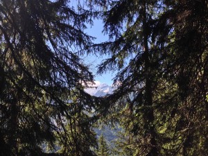 IMG_4452