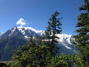 IMG_4454
