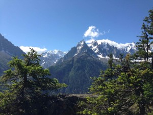 IMG_4455