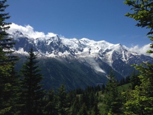 IMG_4486