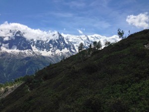 IMG_4488