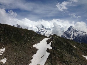 IMG_4499