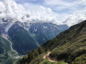 IMG_4502