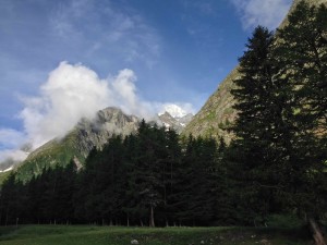IMG_4503