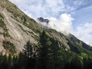 IMG_4504